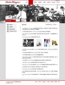 網(wǎng)站設(shè)計(jì)與網(wǎng)頁設(shè)計(jì) 數(shù)字時(shí)代視覺與功能的雙重奏